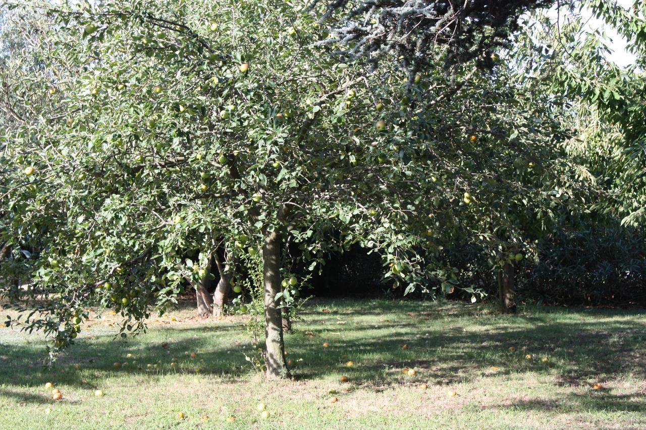 La Villa Blanc (Adults Only) Conques-sur-Orbiel 外观 照片